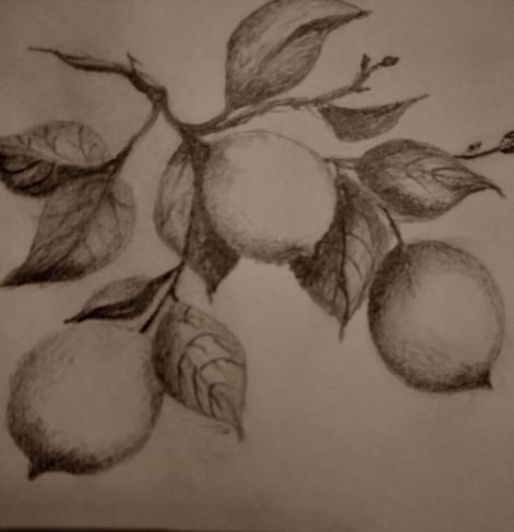 grafcitrom.jpg grafcitrom.jpg