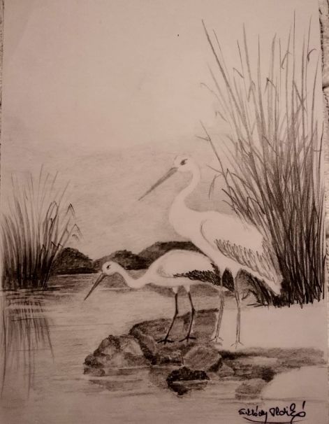 grafgolyak.jpg grafgolyak.jpg