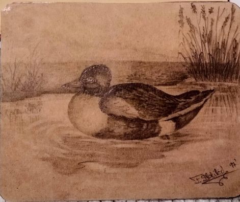 grafikacsa.jpg grafikacsa.jpg