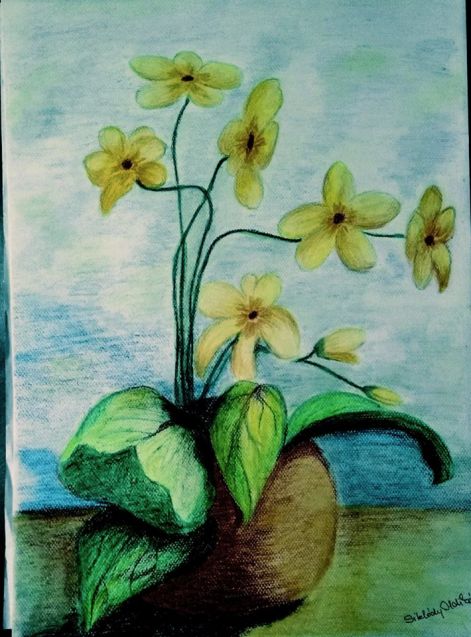 grafszinorhid.jpg grafszinorhid.jpg